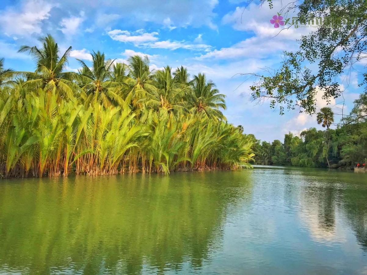 Kampot Tropical Village Ngoại thất bức ảnh